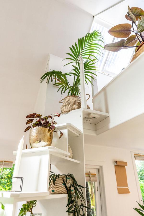Boho Hill Waiheke Island Villa ปาล์มบีช ภายนอก รูปภาพ
