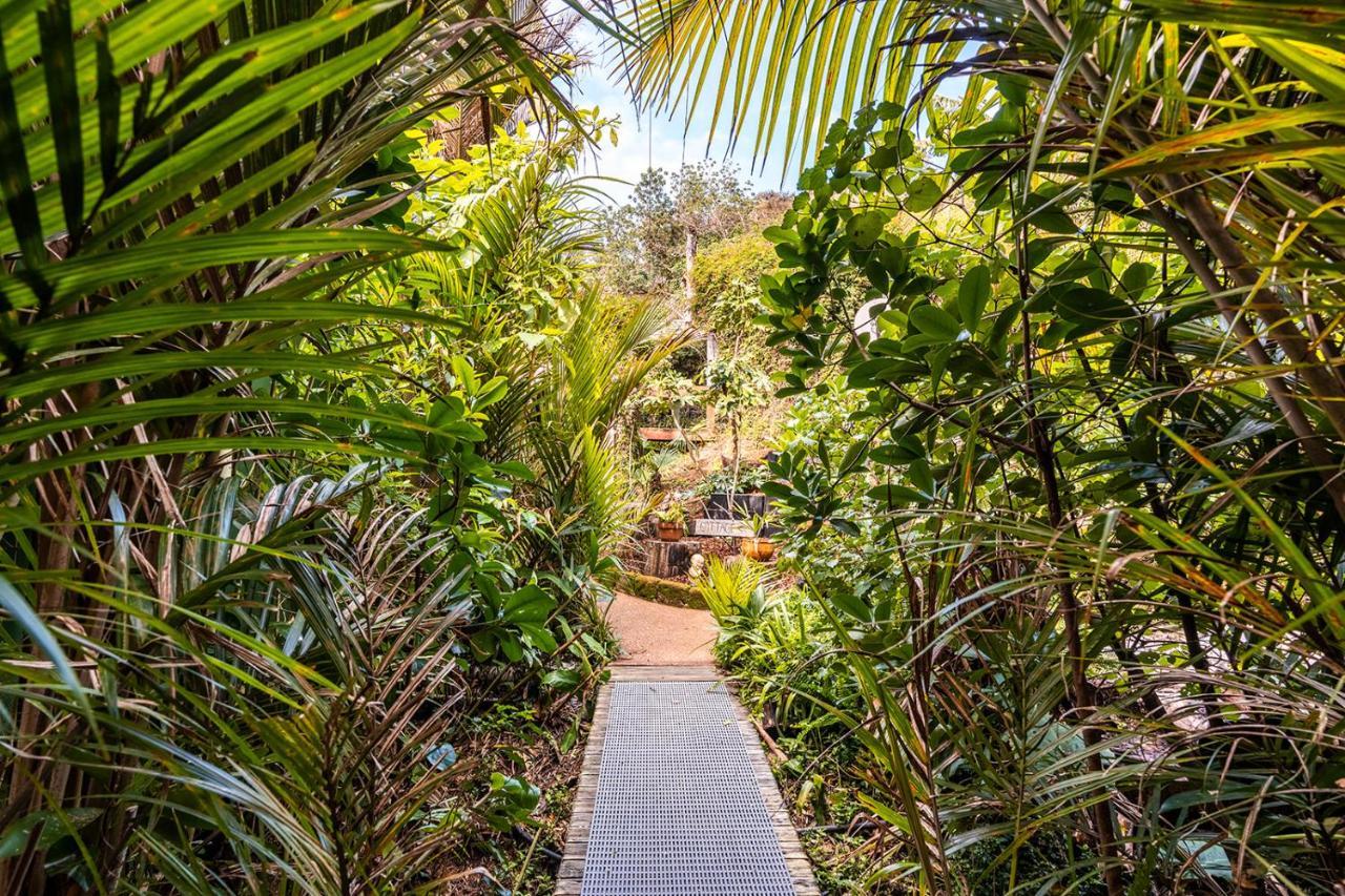 Boho Hill Waiheke Island Villa ปาล์มบีช ภายนอก รูปภาพ