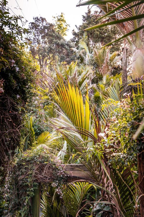 Boho Hill Waiheke Island Villa ปาล์มบีช ภายนอก รูปภาพ