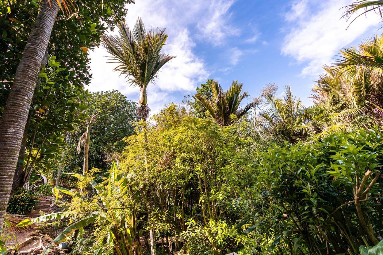 Boho Hill Waiheke Island Villa ปาล์มบีช ภายนอก รูปภาพ