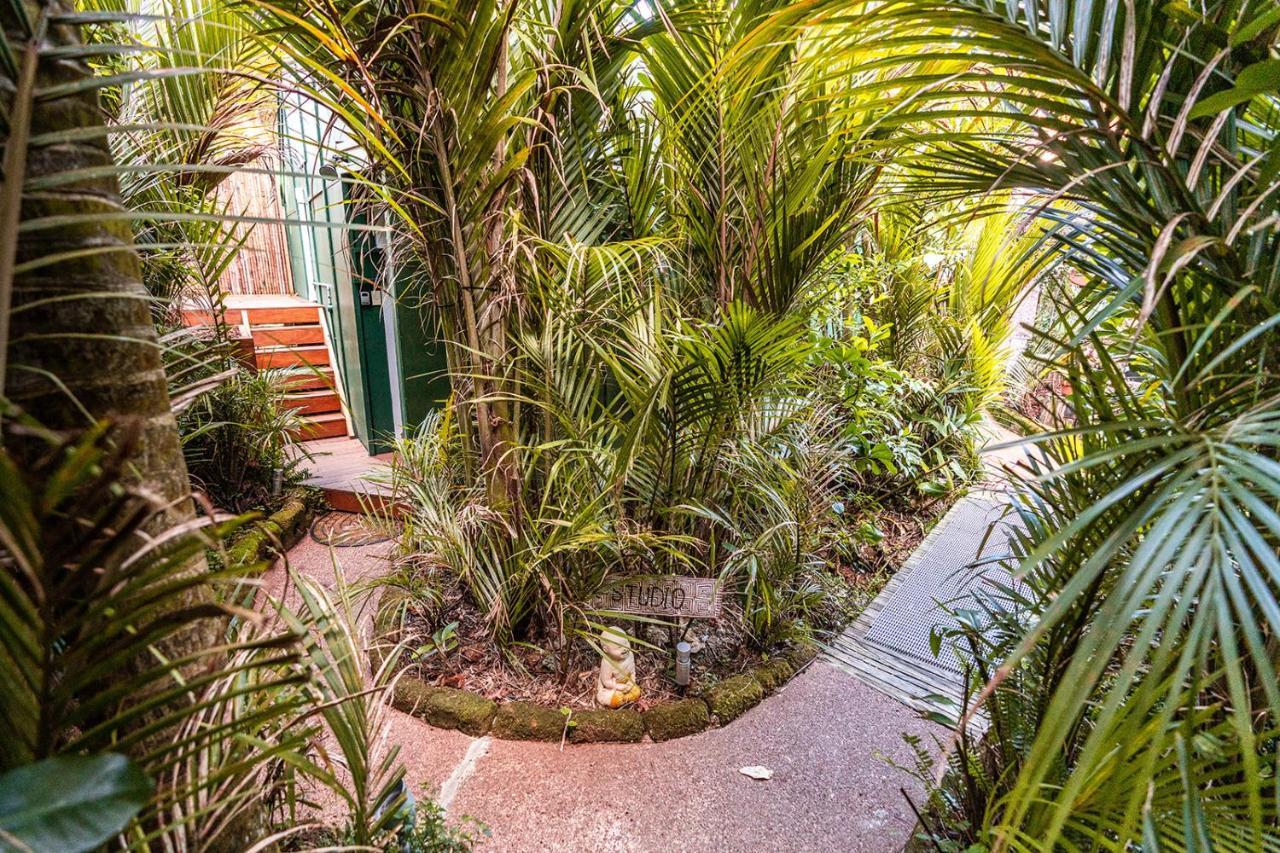 Boho Hill Waiheke Island Villa ปาล์มบีช ภายนอก รูปภาพ